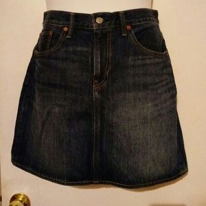 Levi's Blue Jean Mini Skirt